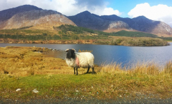 Autotour en Irlande