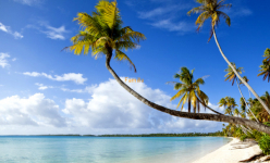Vacances de Février 2021 en Martinique