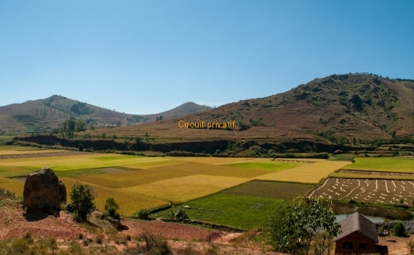 Campagne Madagascar